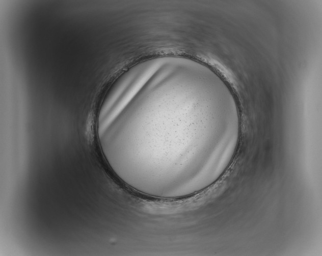 X0000102270009200808081450