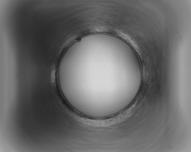 X0000102270010200808081450