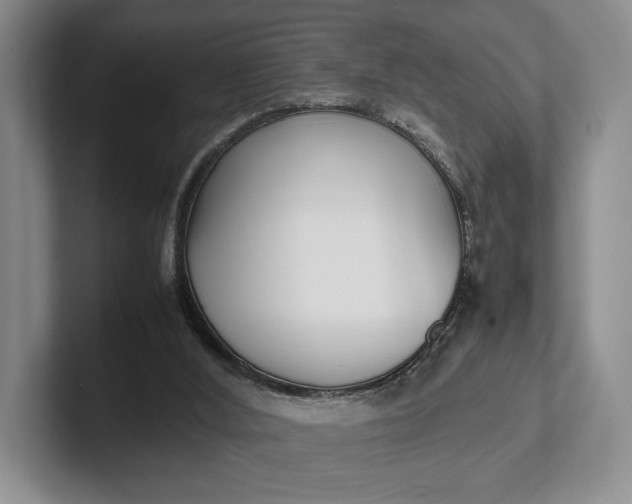 X0000102270012200808081450