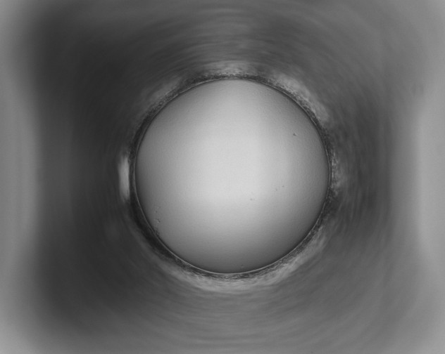 X0000102270014200808081450