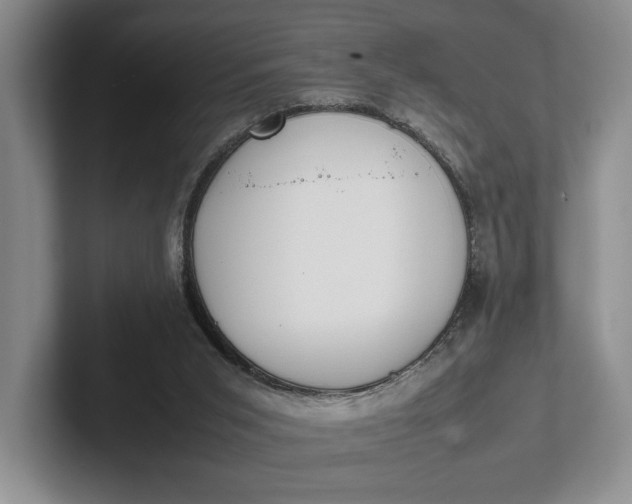 X0000102270015200808081450