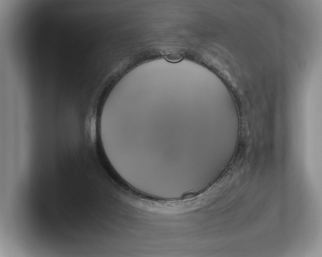 X0000102270019200808081450