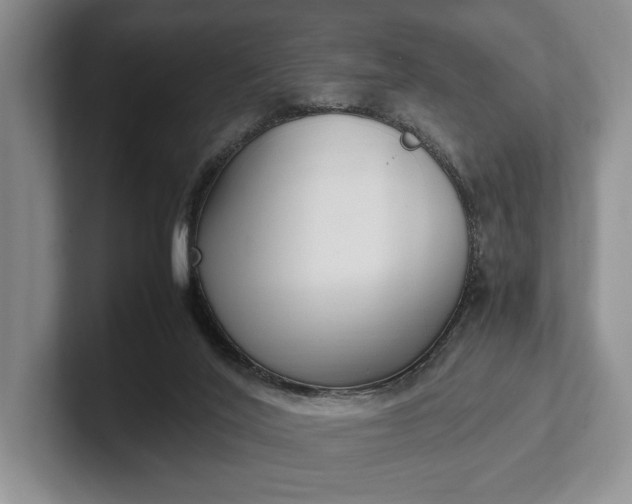 X0000102270020200808081450