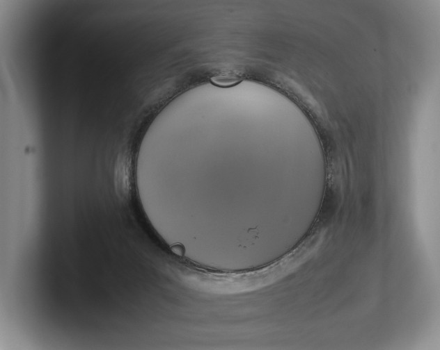 X0000102270023200808081450