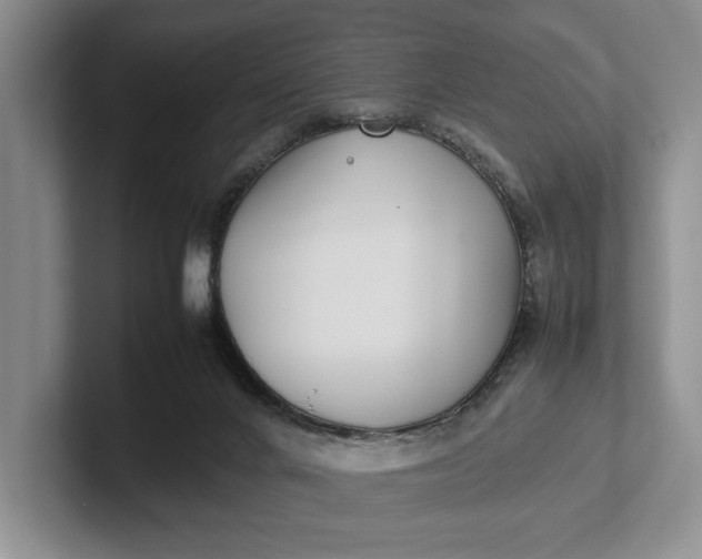 X0000102270024200808081450