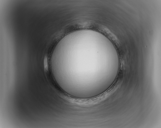 X0000102270026200808081450