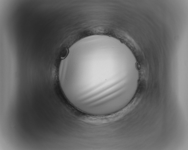 X0000102270029200808081450