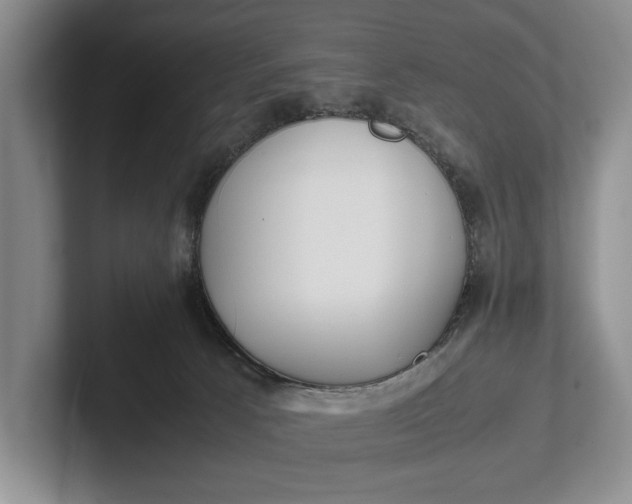 X0000102270033200808081450