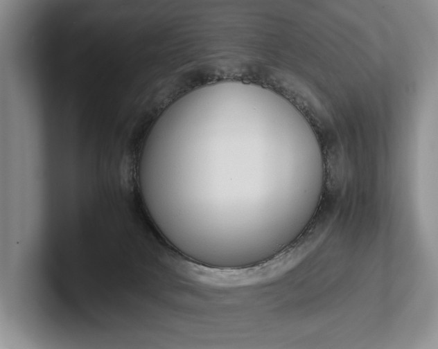 X0000102270034200808081450