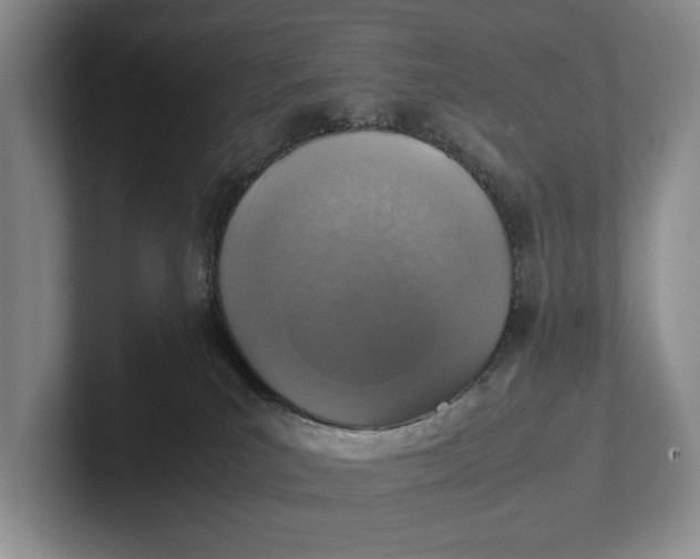 X0000102270039200808081450