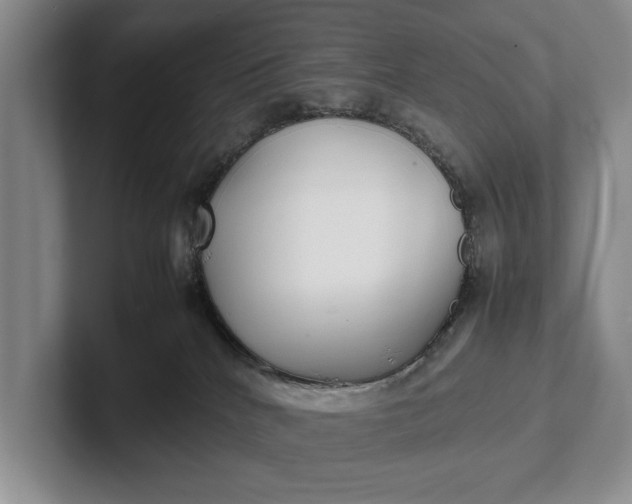 X0000102270040200808081450