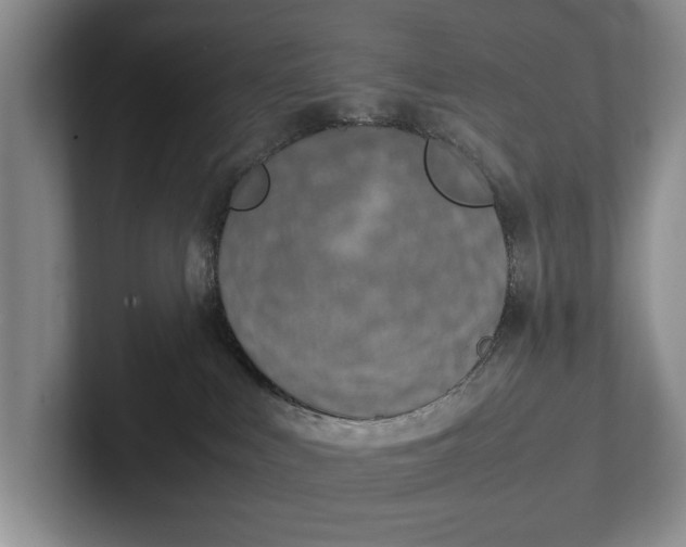 X0000102270043200808081450