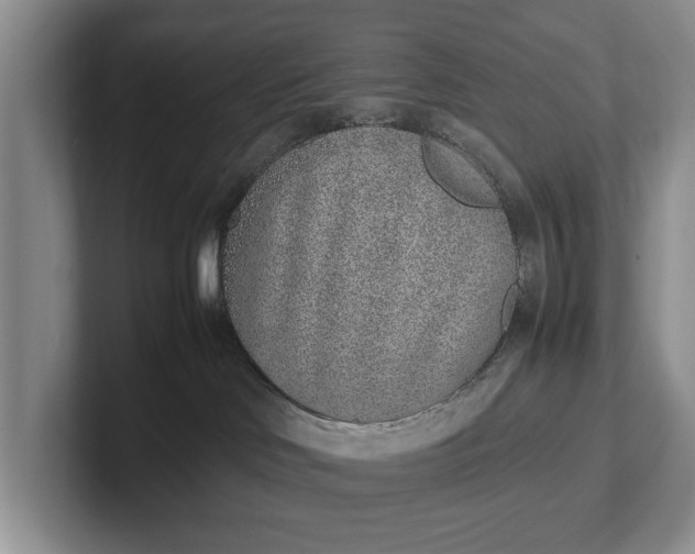 X0000102270046200808081450