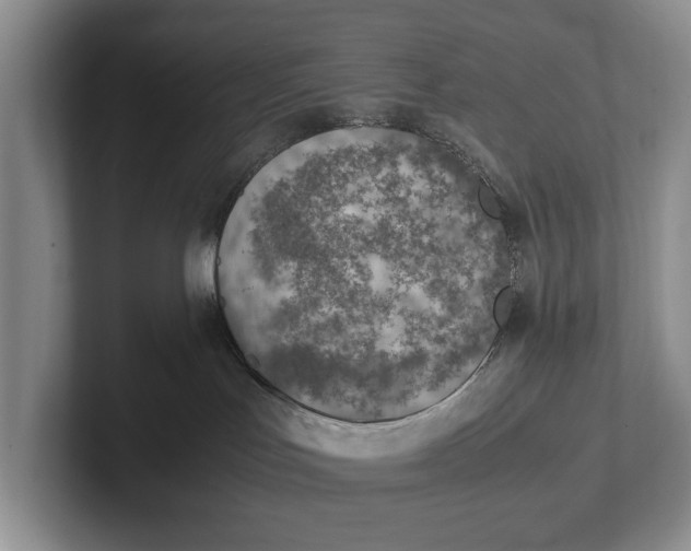 X0000102270047200808081450