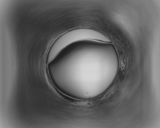 X0000102270049200808081449