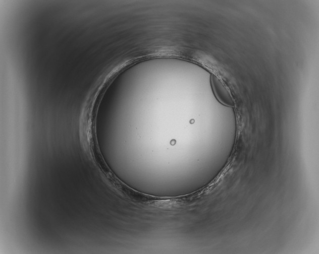 X0000102270050200808081449