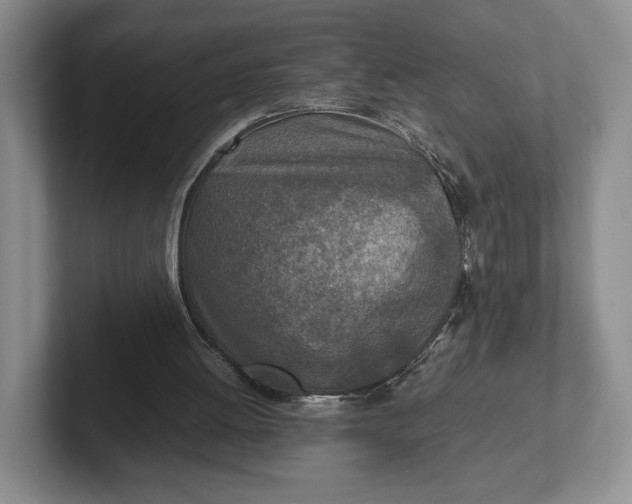 X0000102270052200808081449