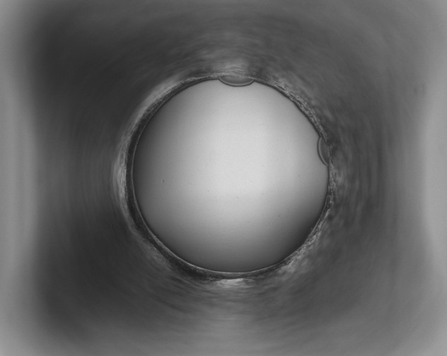 X0000102270054200808081449