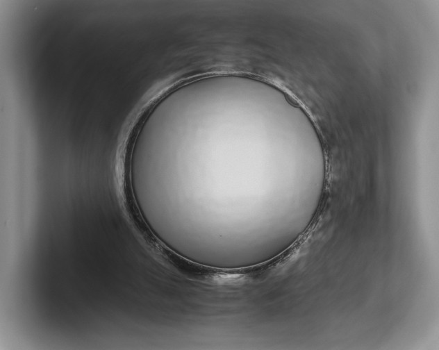 X0000102270055200808081449