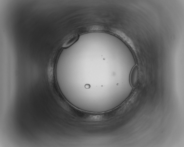 X0000102270057200808081449