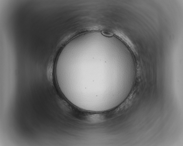 X0000102270058200808081449