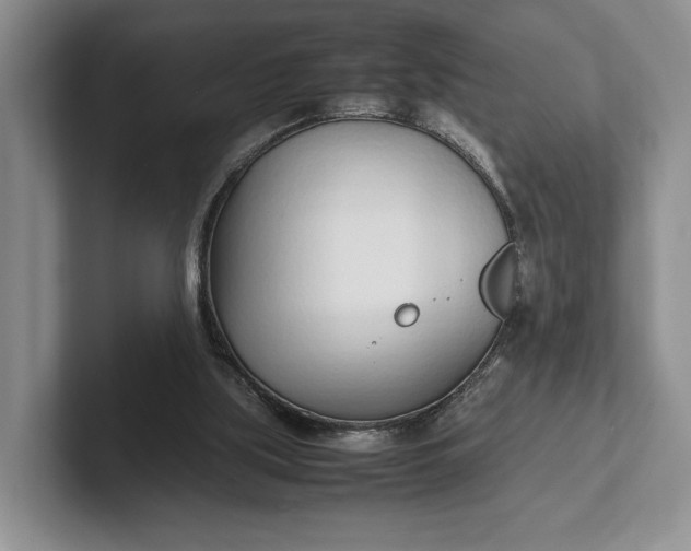 X0000102270059200808081449