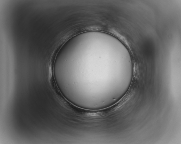 X0000102270061200808081449