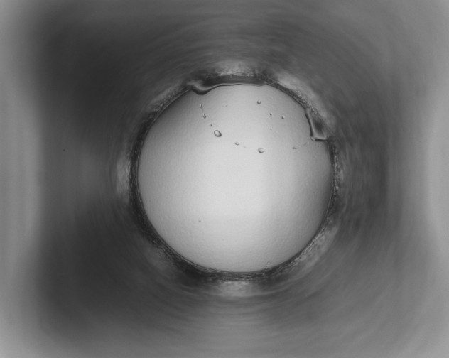 X0000102270066200808081449