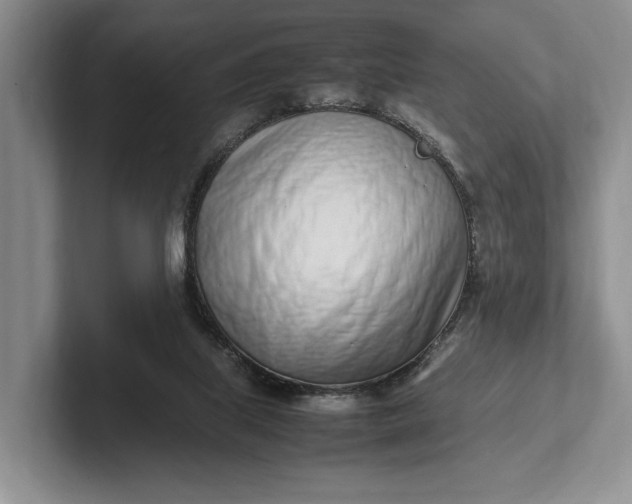 X0000102270067200808081449