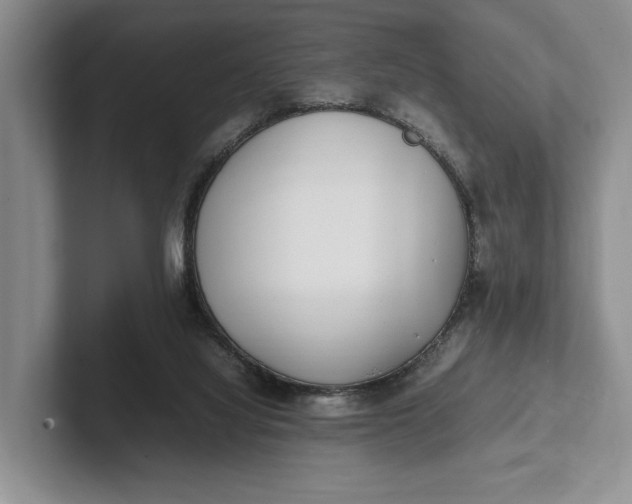 X0000102270068200808081449