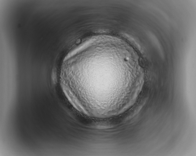 X0000102270069200808081449