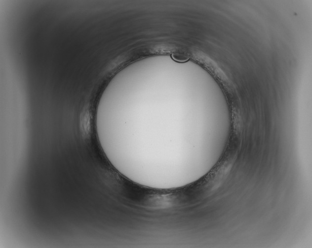 X0000102270071200808081449