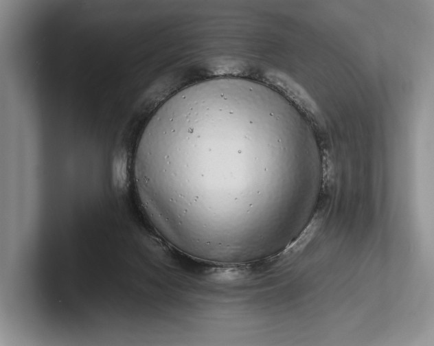 X0000102270074200808081450