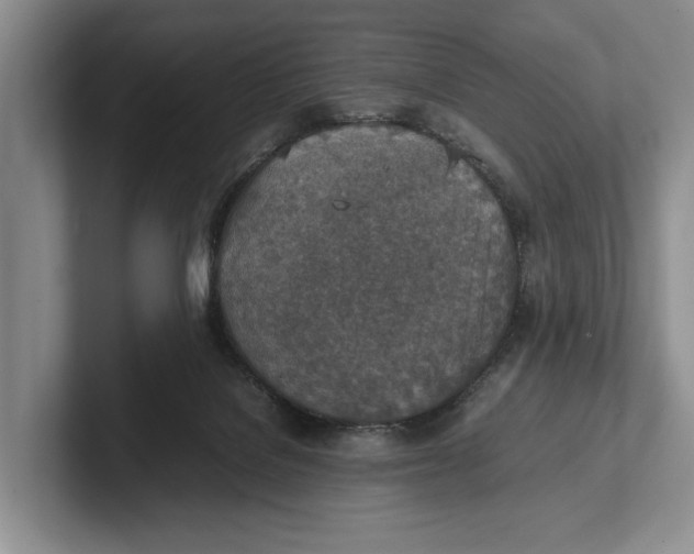 X0000102270076200808081450