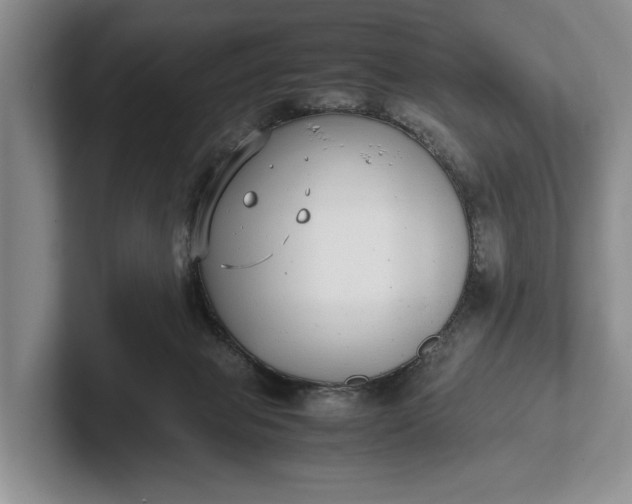 X0000102270077200808081450