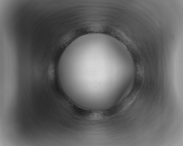 X0000102270080200808081450