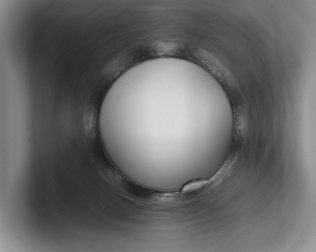 X0000102270082200808081450