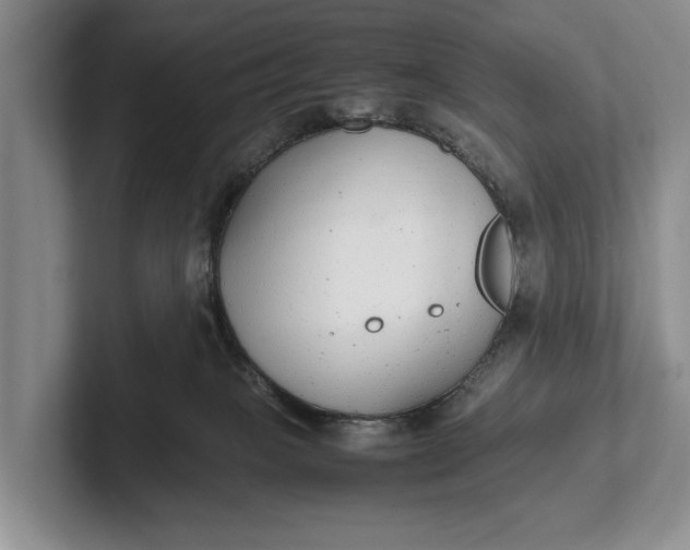 X0000102270085200808081450