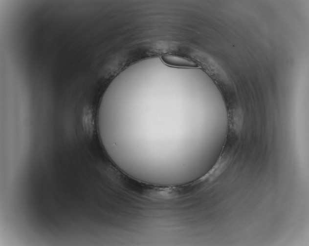 X0000102270086200808081450