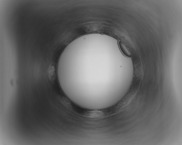 X0000102270087200808081450