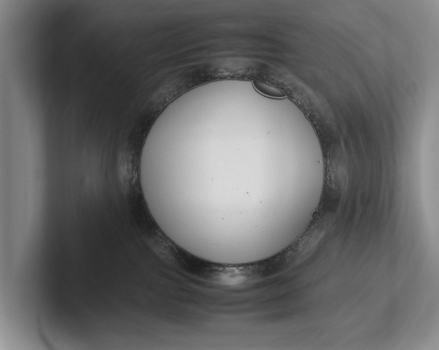 X0000102270091200808081450