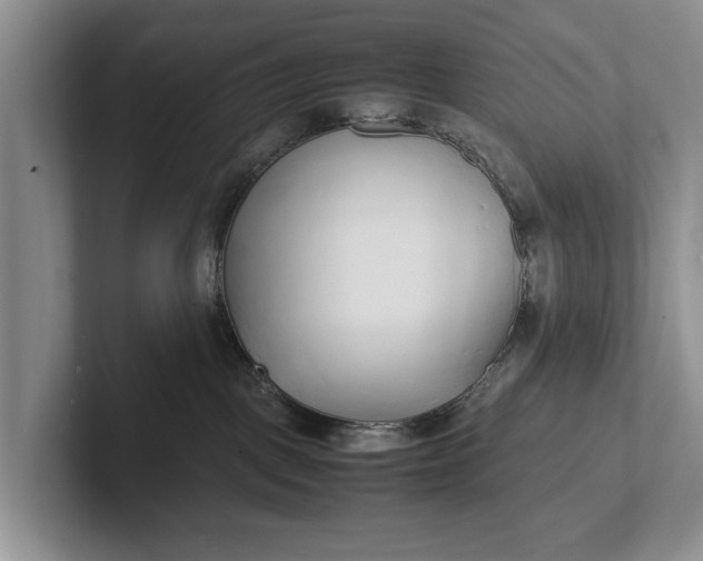 X0000102270093200808081450