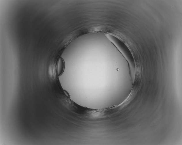 X0000102270094200808081450