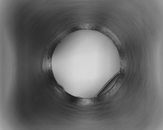 X0000102270095200808081450