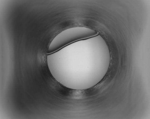 X0000102270096200808081450