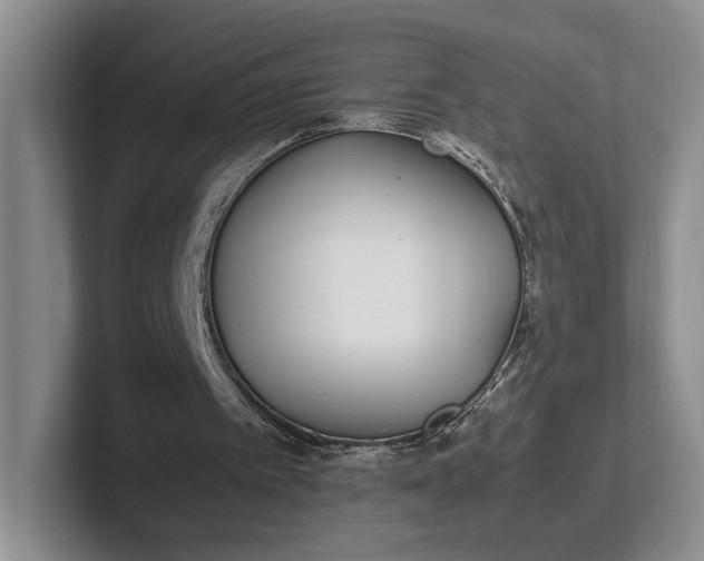 X0000102270097200808081449