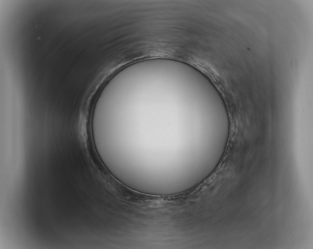 X0000102270098200808081449