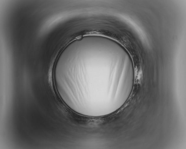 X0000102270099200808081449