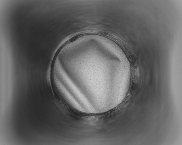 X0000102270100200808081449