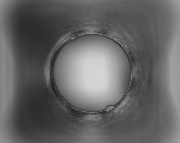 X0000102270101200808081449